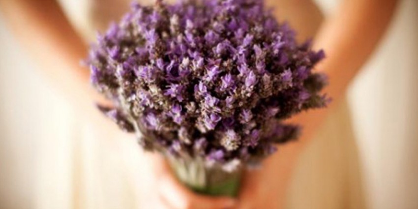 Il Bouqet di Lavanda - Lavender Bouquet