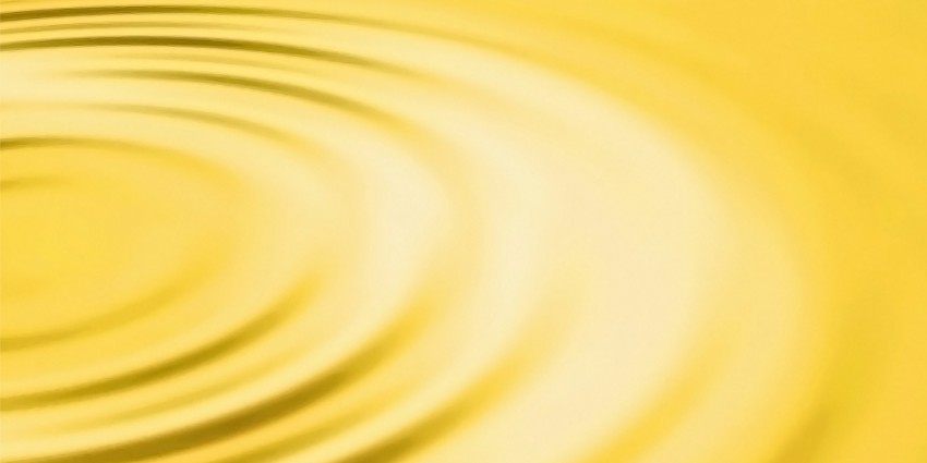 Il Colore Giallo - Freesia Yellow Pantone 14-0852