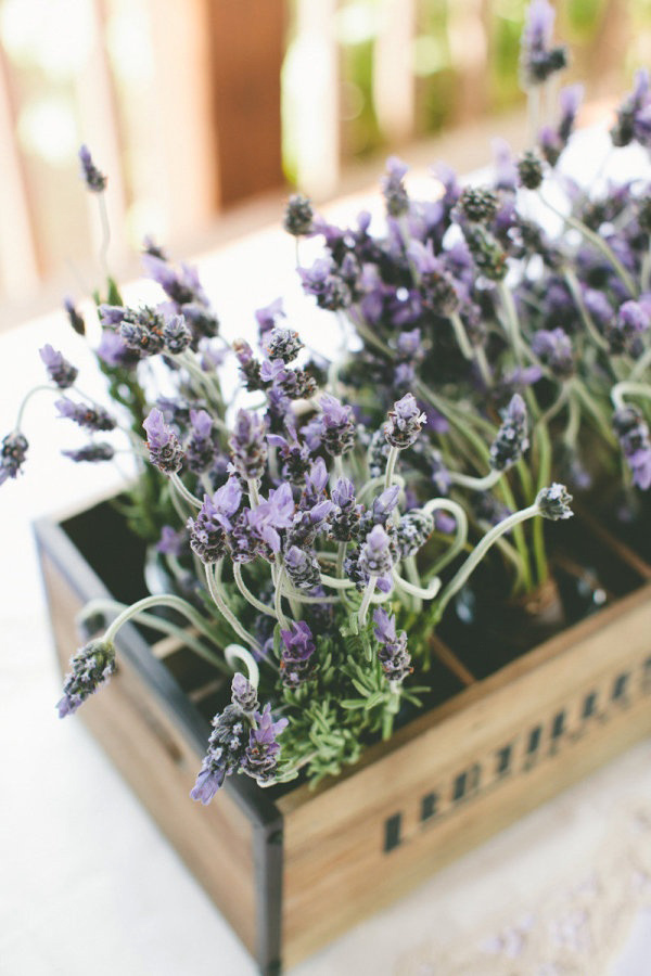 cassettina legno con lavanda