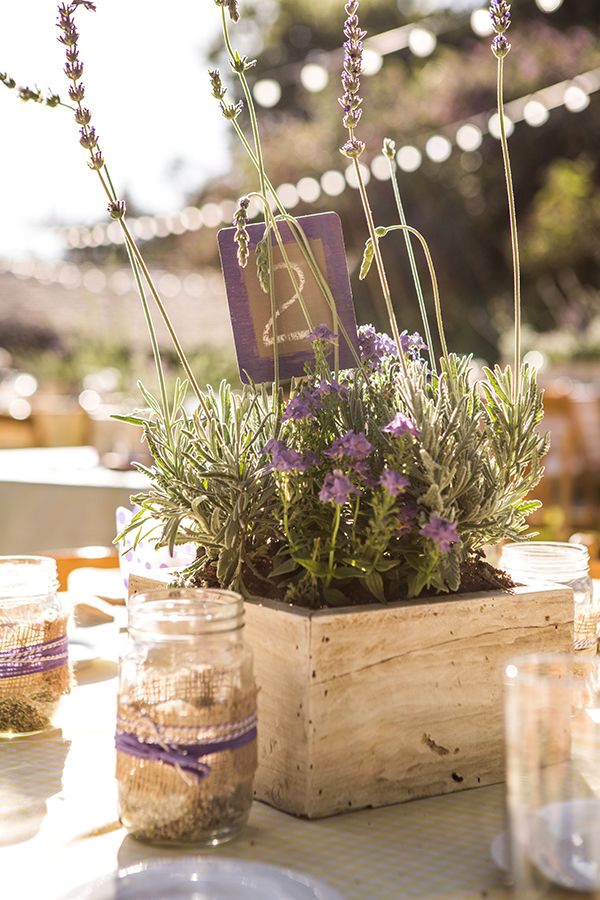 centrotavola lavanda