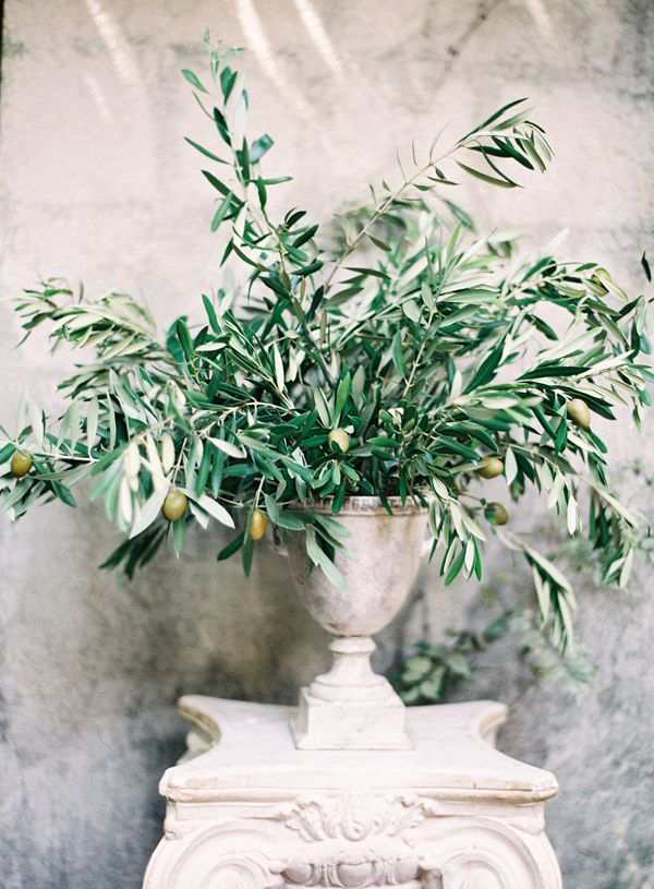 decorazione vaso antico con rami olivo