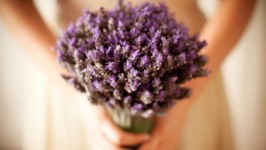 Il Bouqet di Lavanda - Lavender Bouquet