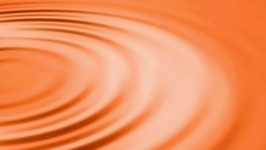 Il Colore Arancione - Celosia Orange Pantone 17-1360