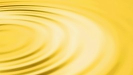 Il Colore Giallo - Freesia Yellow Pantone 14-0852