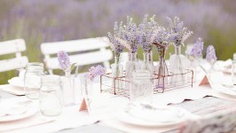 Matrimonio lavanda: come organizzare ogni piccolo dettaglio