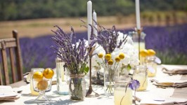 Matrimonio limone e lavanda, profumi del Mediterraneo