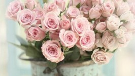Matrimonio shabby chic: stile romantico e ecologico