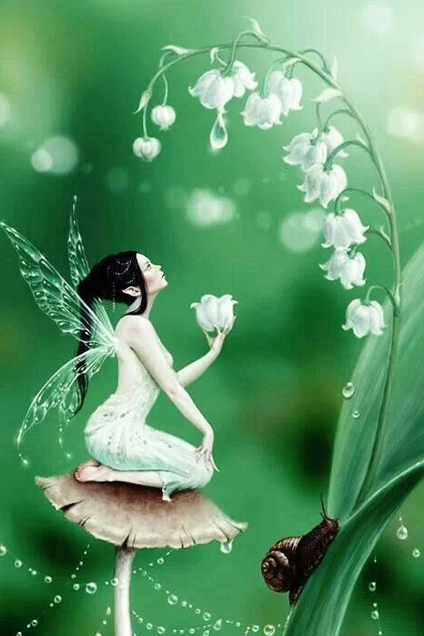 Il Mughetto - Lily of the Valley